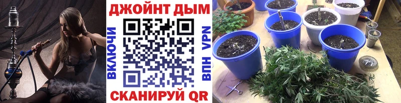  COCAIN Амурск