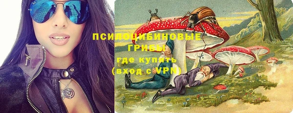 крисы Алзамай