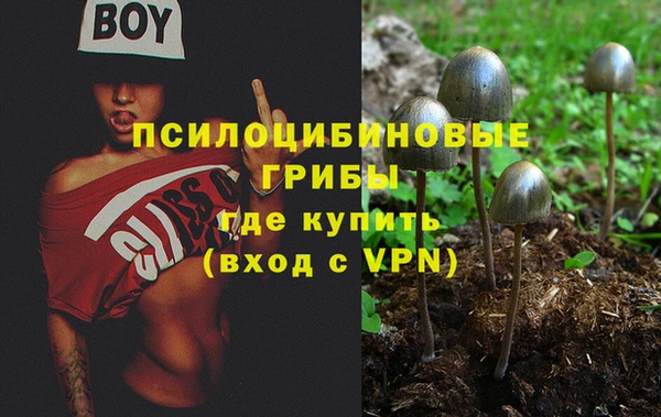 стафф Алексеевка